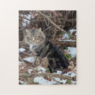 Maine Coon Katze im Wald Puzzle