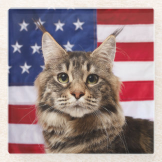 Maine Coon Katze mit amerikanischer Flagge Glasuntersetzer