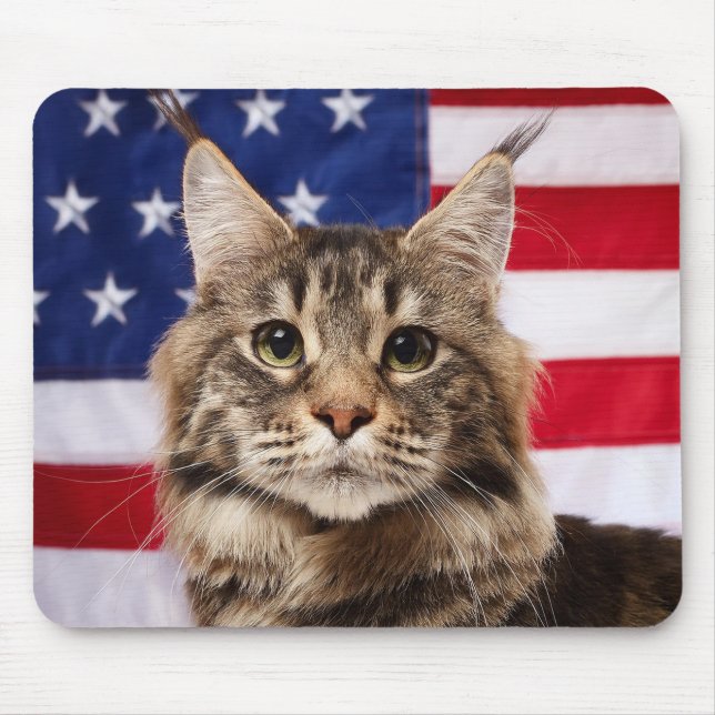 Maine Coon Katze mit amerikanischer Flagge Mousepad (Vorne)