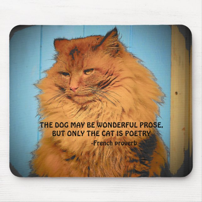 Maine Coon Katze mit französischem Sprichwort Mousepad (Vorne)