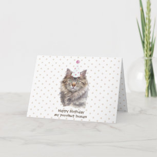 Maine Coon Katze Partyhut Geburtstag feiern Karte