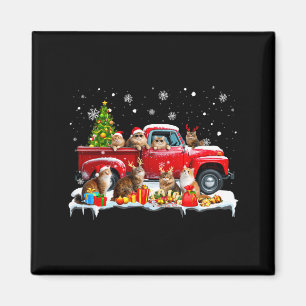 Maine Coon Katze Rotes Lastwagen Weihnachtsbaum Sa Magnet