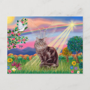 Maine Coon Katze - Wolkenengel Postkarte