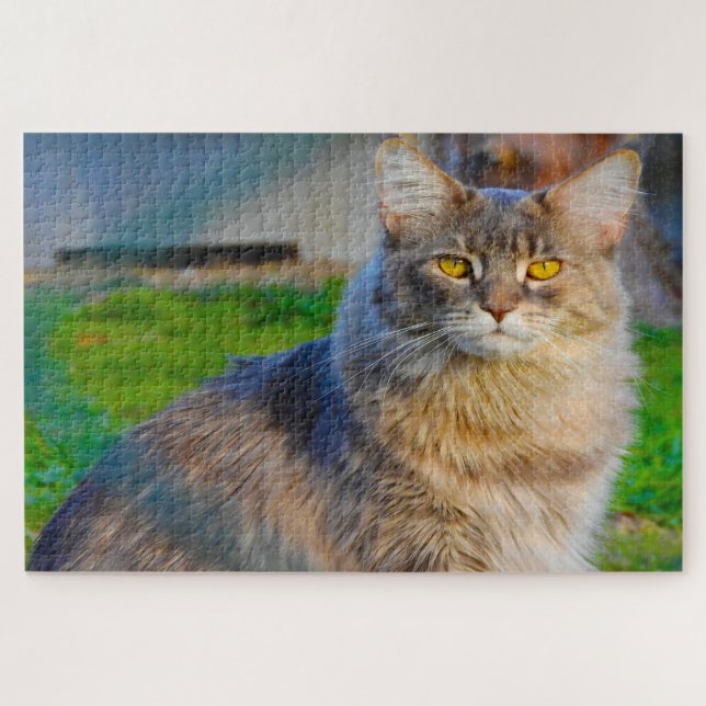 Maine Coon Katzen. Puzzle (Horizontal)