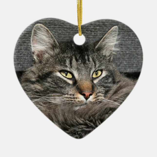 Maine Coon Katzengesicht Keramik Ornament (Vorne)