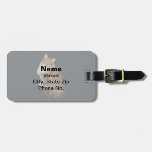 Maine Coon Katzenporträt Gepäckanhänger
