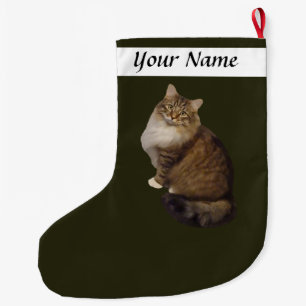 Maine Coon Katzenporträt Großer Weihnachtsstrumpf