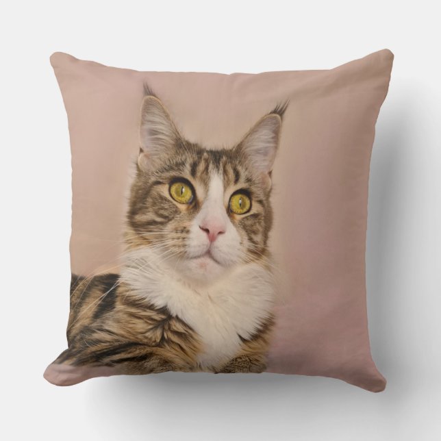 Maine Coon kitten Portrait Kissen (Vorderseite)