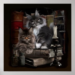 Maine Coon Kittens Poster