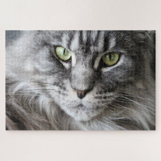 Maine Coon Kitty Cat Niedlich Fun Animal Puzzle