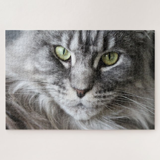 Maine Coon Kitty Cat Niedlich Fun Animal Puzzle (Horizontal)