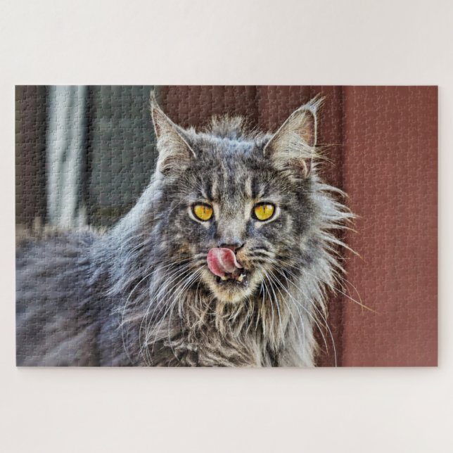 Maine Coon Kitty Cat Niedlich Fun Animal Puzzle (Horizontal)