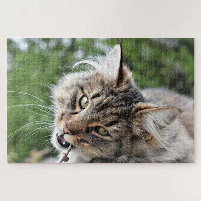 Maine Coon Kitty Cat Niedlich Fun Animal Puzzle (Horizontal)