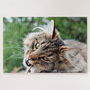 Maine Coon Kitty Cat Niedlich Fun Tier Puzzle