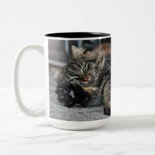 Maine Coon Kitty Cat Zweifarbige Tasse