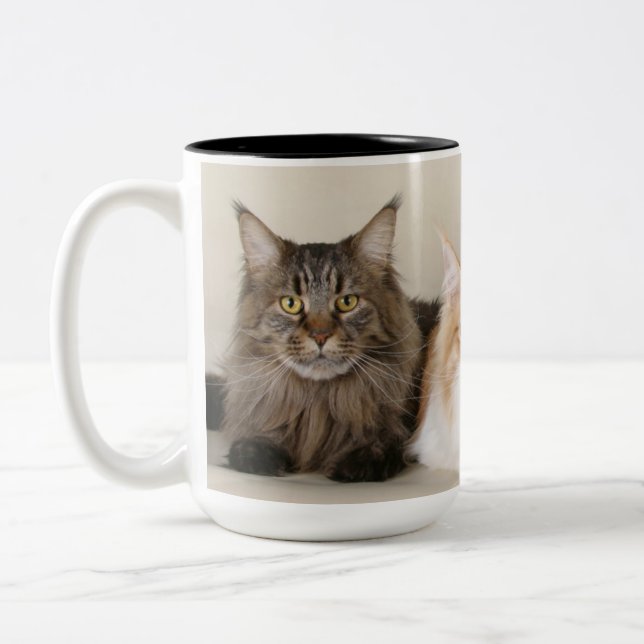Maine Coon Kitty Cat Zweifarbige Tasse (Links)