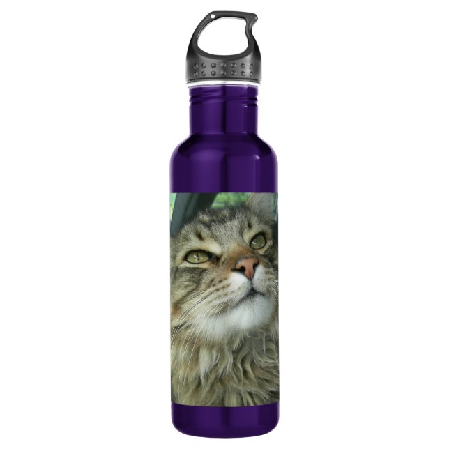 Maine Coon kitty Edelstahlflasche (Vorderseite)
