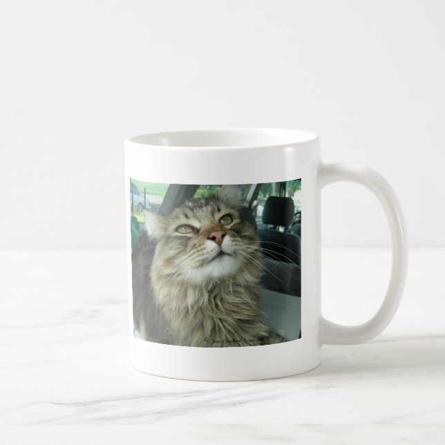 Maine Coon kitty Kaffeetasse (Rechts)