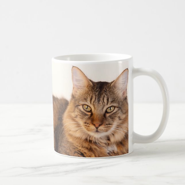Maine Coon Kitty Tasse (Rechts)