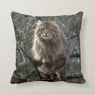 Maine Coon Long-haar Tabby Katze Tiertier Kissen