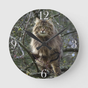 Maine Coon Long-hair Tabby Cat Animal Pet Clock Runde Wanduhr