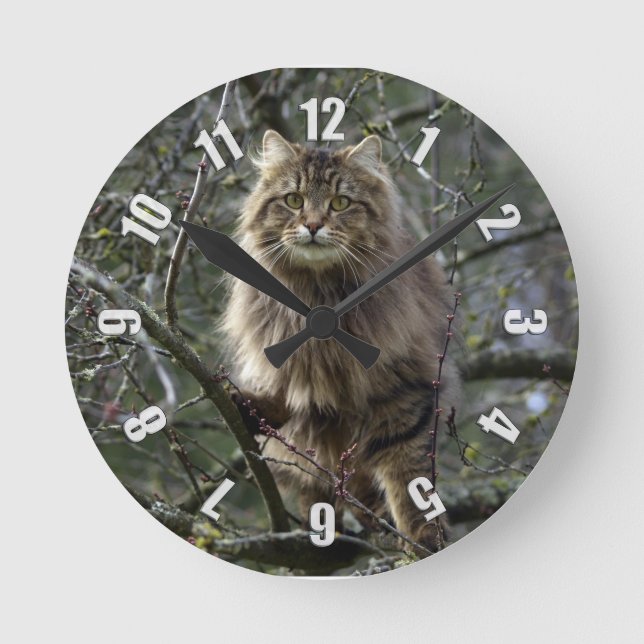 Maine Coon Long-hair Tabby Cat Animal Pet Clock Runde Wanduhr (Vorderseite)