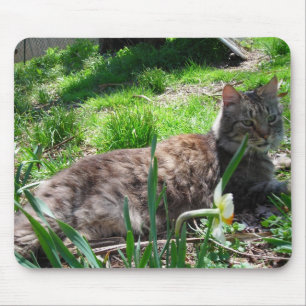 Maine Coon Mouse Pad Mousepad