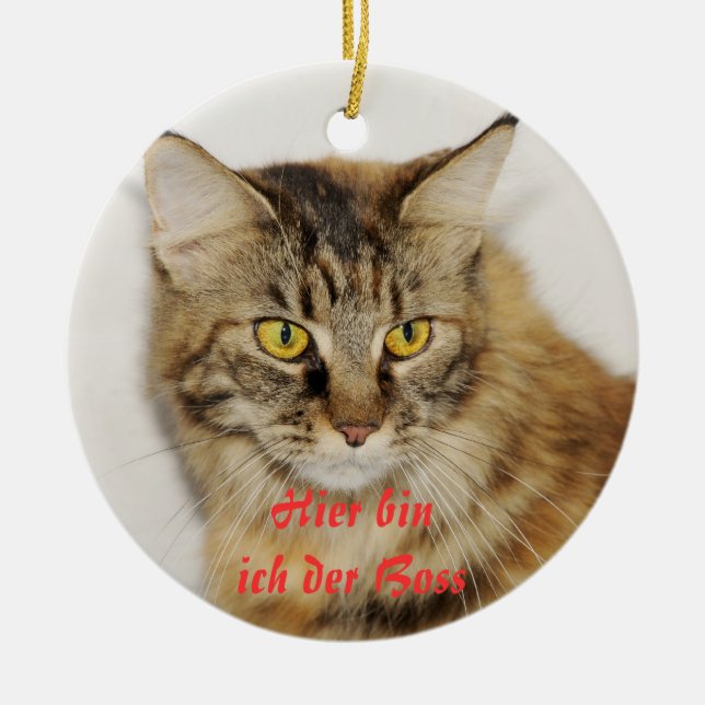 Maine Coon Ornament (Vorne)