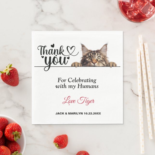 Maine Coon Peeking Cat Paper Napkins Serviette (Beispiel)