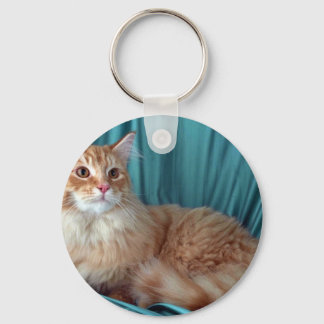 Maine Coon, roter Tabby Schlüsselanhänger