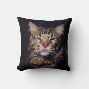 Maine Coon vor schwarzem Hintergrund Jungtier, Kat Kissen