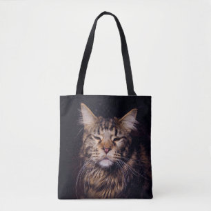 Maine Coon vor schwarzem Hintergrund Jungtier,Tier