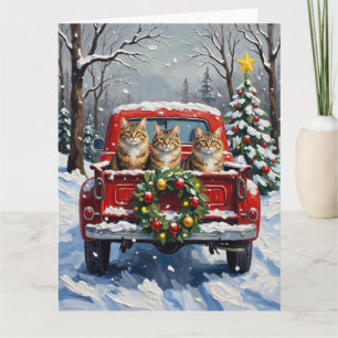 Maine Coon Weihnachten Rotes Lastwagen Ferien Karte