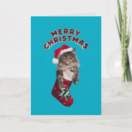 Maine Coon Weihnachts-Strumpf Feiertagskarte