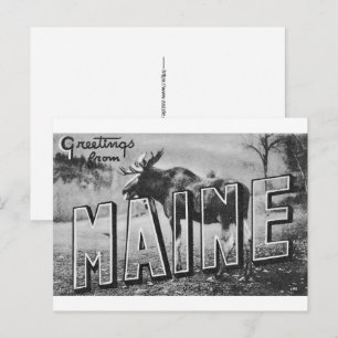 Maine-Elch Postkarte