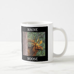 Maine-Elche Tasse