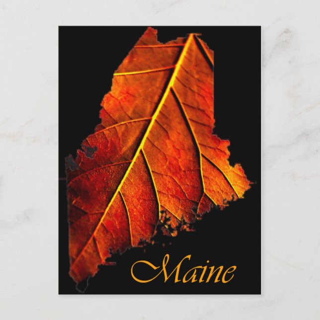 Maine Fall Foto Foliage | Mainstream Herbstblätter Postkarte (Vorderseite)