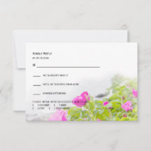 Maine Florals Acadia Nationalpark Blume Blooms