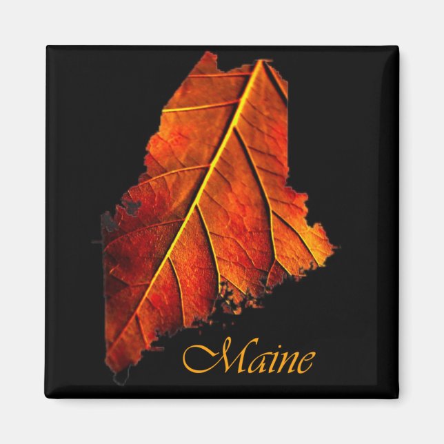 Maine Gift Magnet Souvenir (Vorne)
