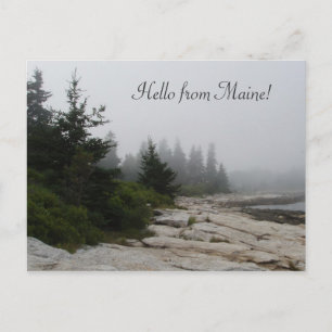 Maine Küstenlinie Postkarte