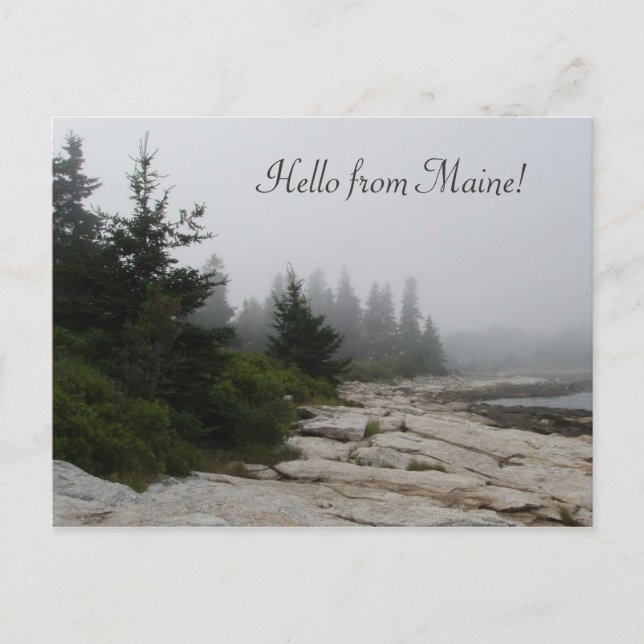 Maine Küstenlinie Postkarte (Vorderseite)