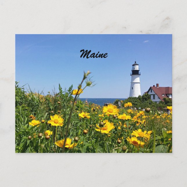 Maine Lighthouse Postcard Postkarte (Vorderseite)