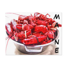 Maine Lobster