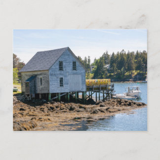 Maine Lobster Village Postkarte