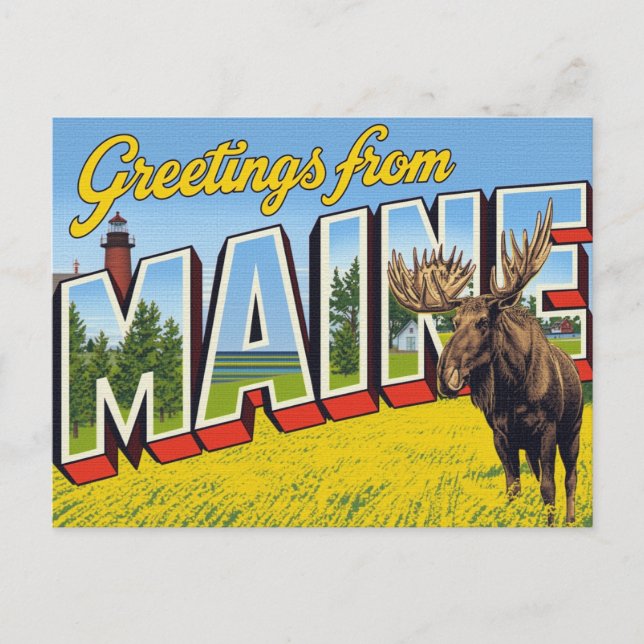 Maine Moose and Lighthouse Postkarte (Vorderseite)