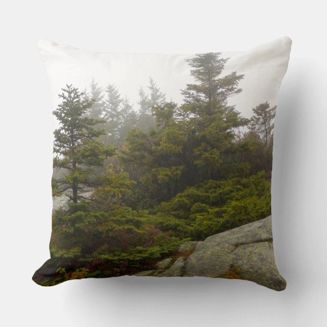 Maine Pine Boulders Acadia Foto Kissen (Vorderseite)