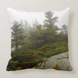 Maine Pine Boulders Acadia Foto Kissen