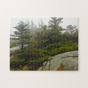 Maine Pine Boulders Acadia Foto Puzzle