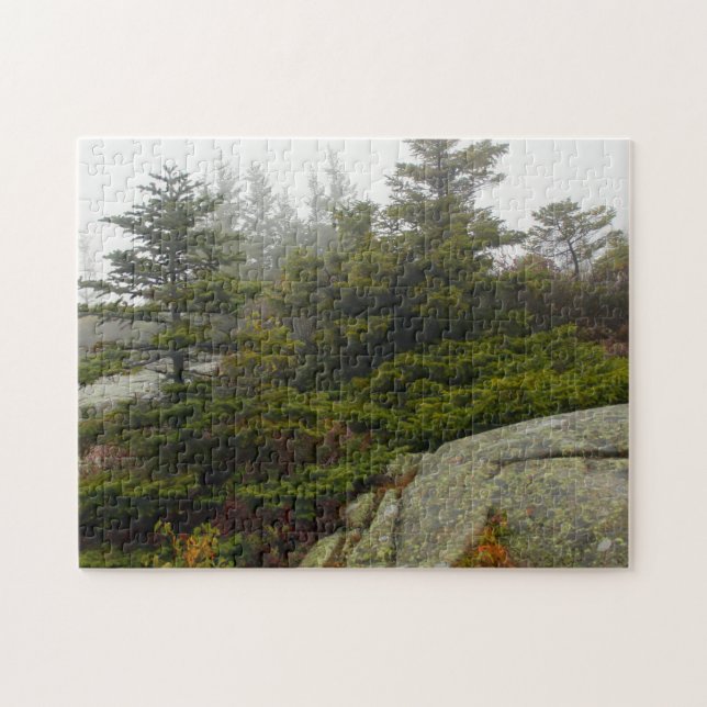 Maine Pine Boulders Acadia Foto Puzzle (Horizontal)