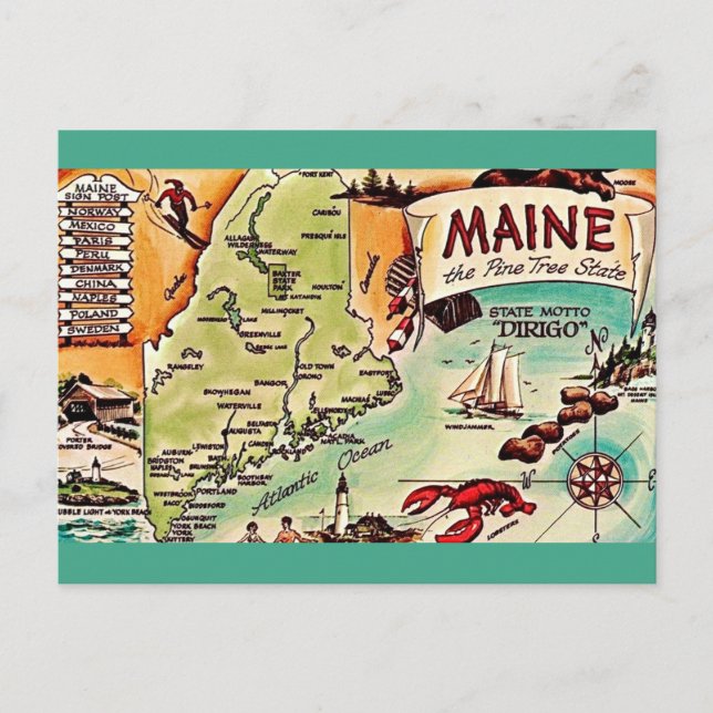Maine - Pine Tree State Postkarte (Vorderseite)